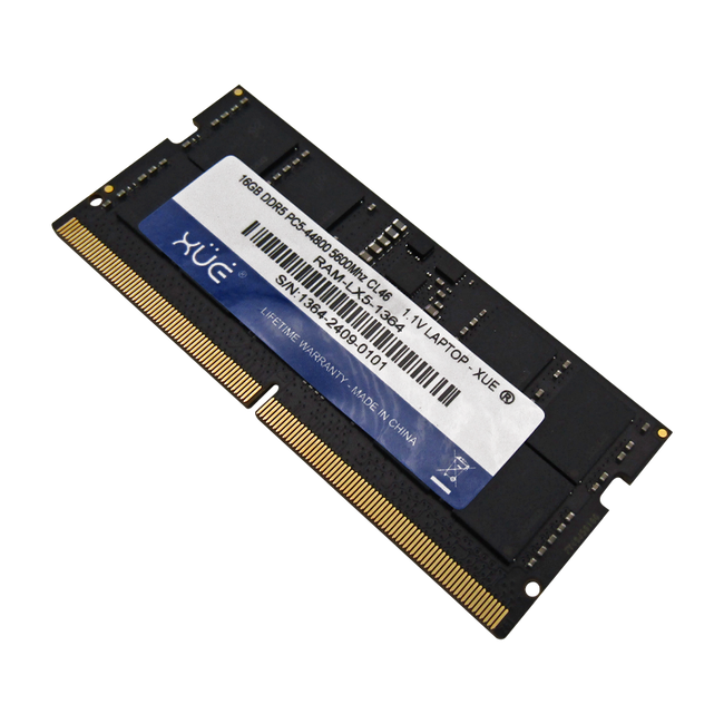 PC5-44800 CL46 16GB DDR5 メモリ RAM-LX5-1364_650x.png?v=1730381674