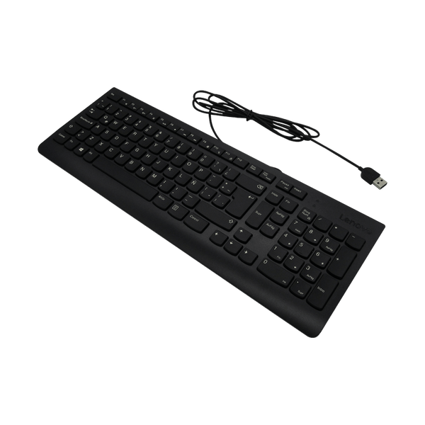 Combo Teclado USB 2.0  Desktop LA + Mouse Lenovo Essential 00XH611 en Español Latinoamericano